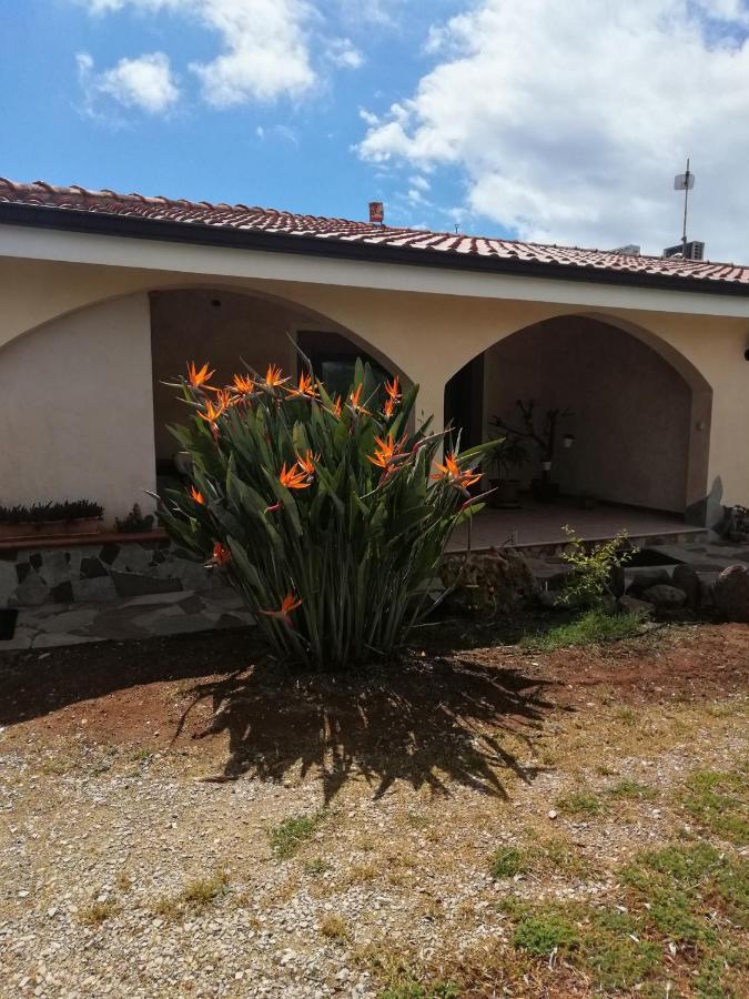 Bed and Breakfast Da Patrizia Alghero Exterior foto