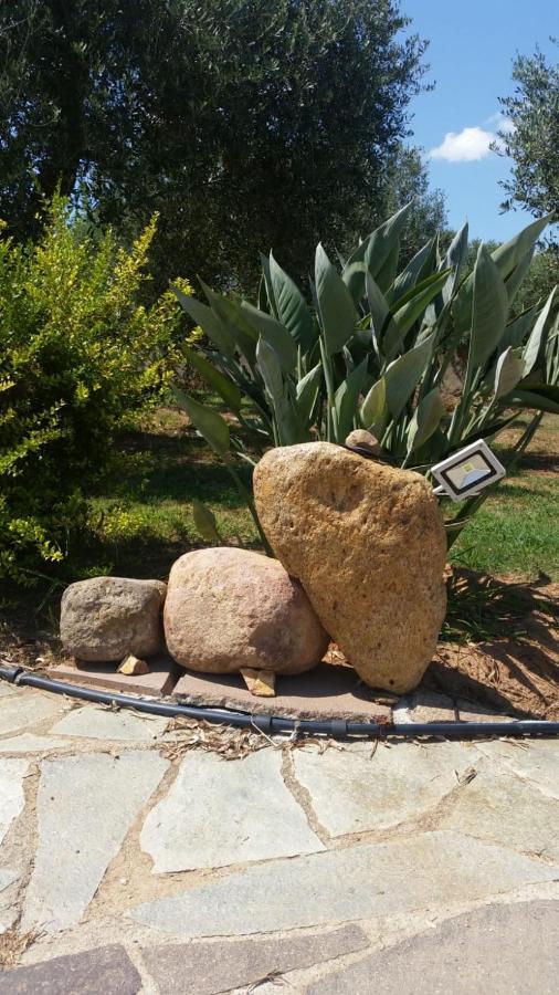 Bed and Breakfast Da Patrizia Alghero Exterior foto